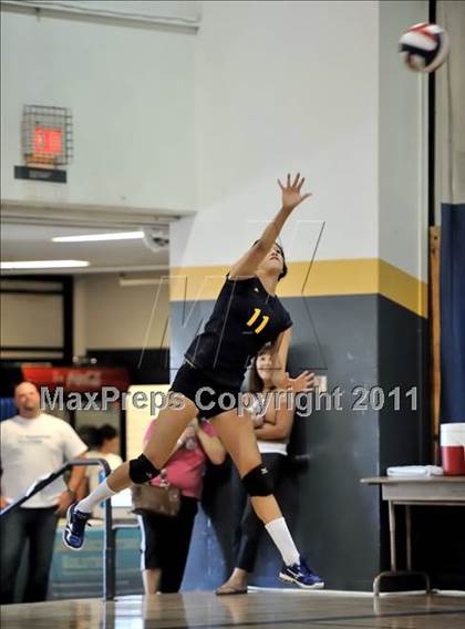 Thumbnail 1 in Rosary vs. Millikan (Molten Classic) photogallery.