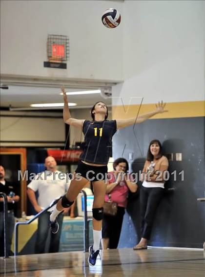 Thumbnail 2 in Rosary vs. Millikan (Molten Classic) photogallery.