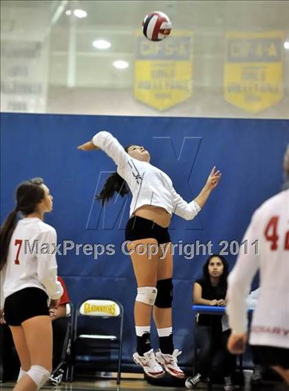 Thumbnail 3 in Rosary vs. Millikan (Molten Classic) photogallery.