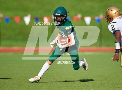 Thumbnail 1 in St. Pius X Catholic @ Blessed Trinity photogallery.