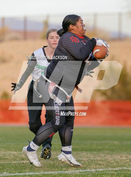 Thumbnail 3 in Desert Oasis vs Virgin Valley (Bulldog Invitational) photogallery.