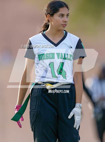 Thumbnail 1 in Desert Oasis vs Virgin Valley (Bulldog Invitational) photogallery.