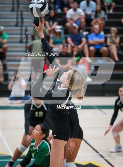 Thumbnail 1 in Queen Creek @ Basha photogallery.
