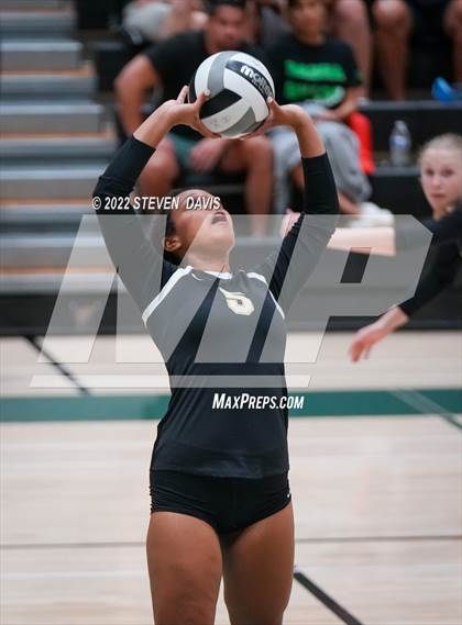Thumbnail 2 in Queen Creek @ Basha photogallery.
