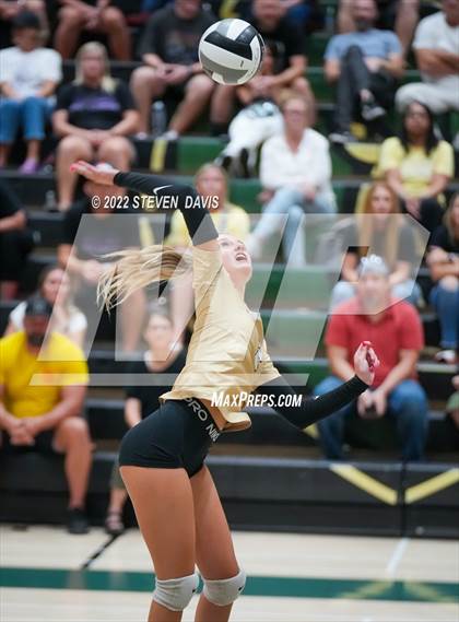 Thumbnail 1 in Queen Creek @ Basha photogallery.