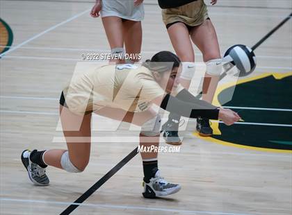 Thumbnail 2 in Queen Creek @ Basha photogallery.