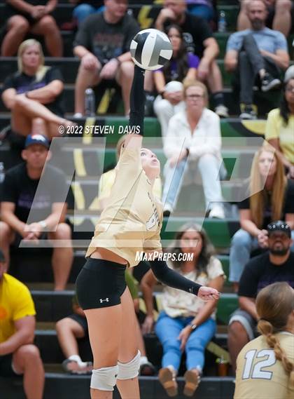 Thumbnail 2 in Queen Creek @ Basha photogallery.