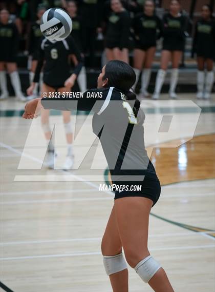 Thumbnail 1 in Queen Creek @ Basha photogallery.