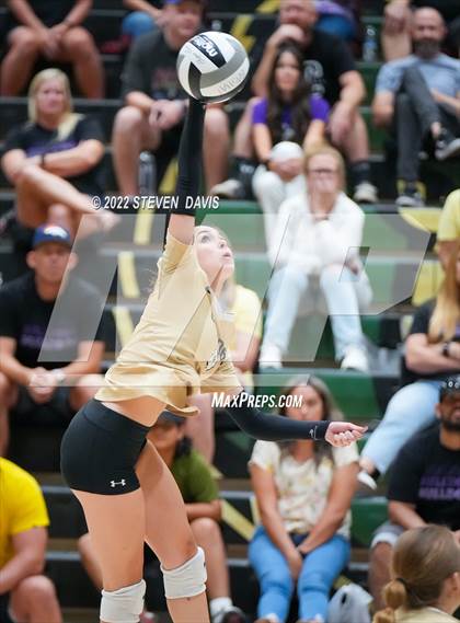 Thumbnail 1 in Queen Creek @ Basha photogallery.