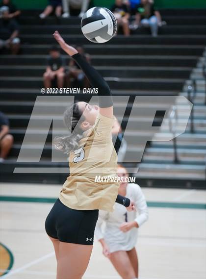 Thumbnail 2 in Queen Creek @ Basha photogallery.