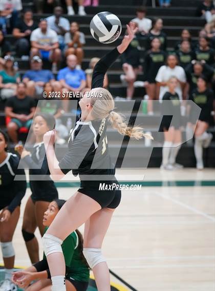 Thumbnail 3 in Queen Creek @ Basha photogallery.
