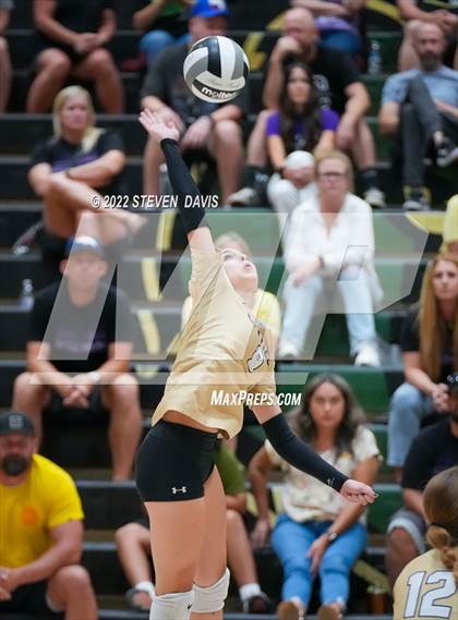 Thumbnail 1 in Queen Creek @ Basha photogallery.