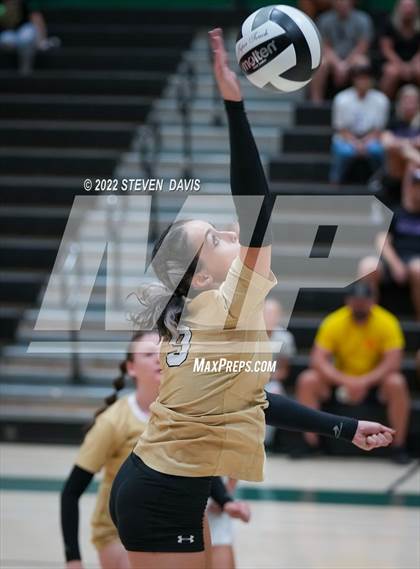 Thumbnail 1 in Queen Creek @ Basha photogallery.