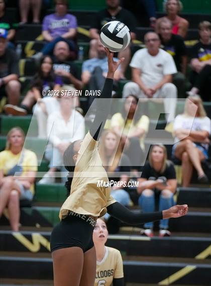 Thumbnail 3 in Queen Creek @ Basha photogallery.