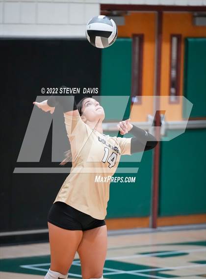 Thumbnail 2 in Queen Creek @ Basha photogallery.