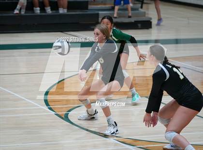 Thumbnail 2 in Queen Creek @ Basha photogallery.