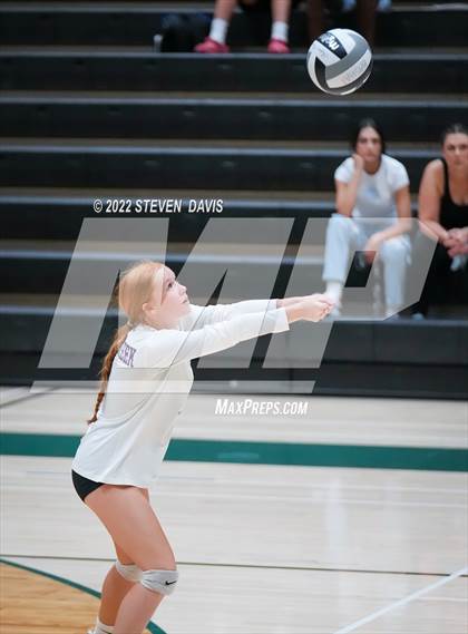 Thumbnail 2 in Queen Creek @ Basha photogallery.
