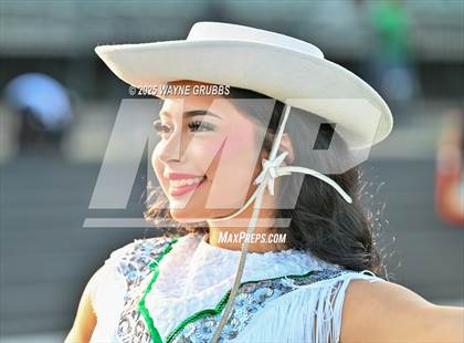 Thumbnail 2 in Daingerfield @ Tatum photogallery.