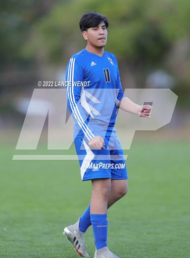 null - Photo 41