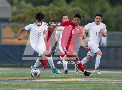 Thumbnail 1 in Mundelein vs. St. Patrick photogallery.