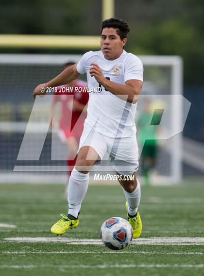 Thumbnail 1 in Mundelein vs. St. Patrick photogallery.