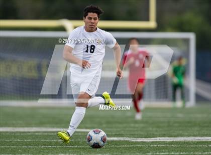 Thumbnail 2 in Mundelein vs. St. Patrick photogallery.