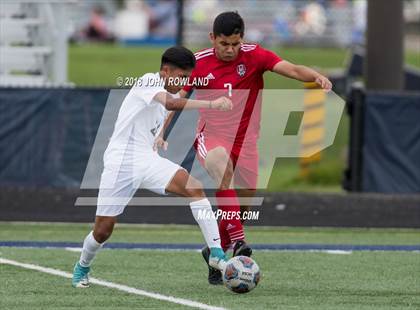 Thumbnail 1 in Mundelein vs. St. Patrick photogallery.