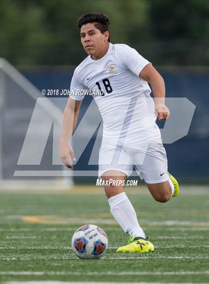 Thumbnail 1 in Mundelein vs. St. Patrick photogallery.