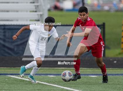 Thumbnail 2 in Mundelein vs. St. Patrick photogallery.