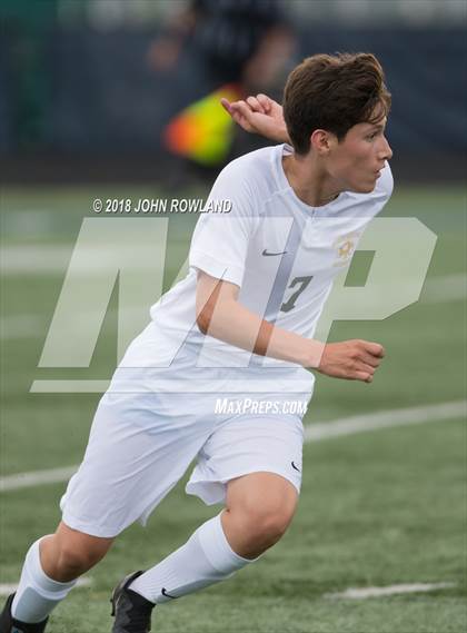 Thumbnail 1 in Mundelein vs. St. Patrick photogallery.