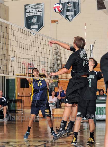 Thumbnail 1 in Northport @ Lindenhurst photogallery.