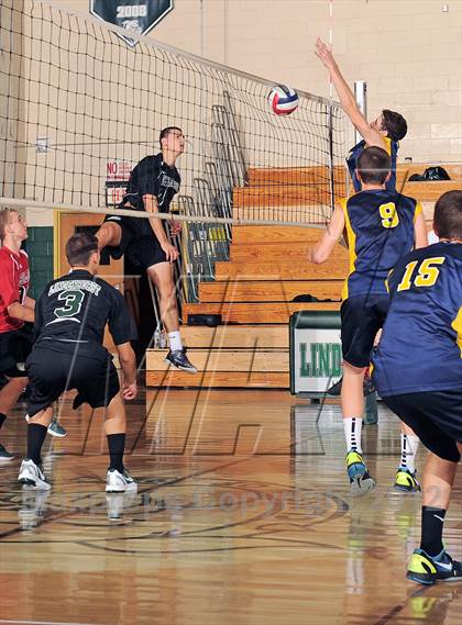 Thumbnail 3 in Northport @ Lindenhurst photogallery.