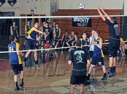 Thumbnail 3 in Northport @ Lindenhurst photogallery.