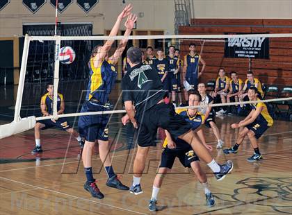 Thumbnail 1 in Northport @ Lindenhurst photogallery.