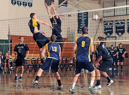 Thumbnail 3 in Northport @ Lindenhurst photogallery.