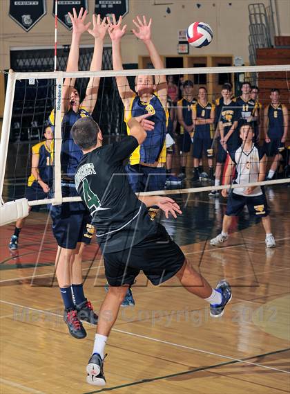 Thumbnail 2 in Northport @ Lindenhurst photogallery.