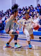 Photo from the gallery "St. Francis @ Christian Brothers"