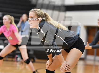 Thumbnail 2 in Hendrickson @ Vandegrift photogallery.