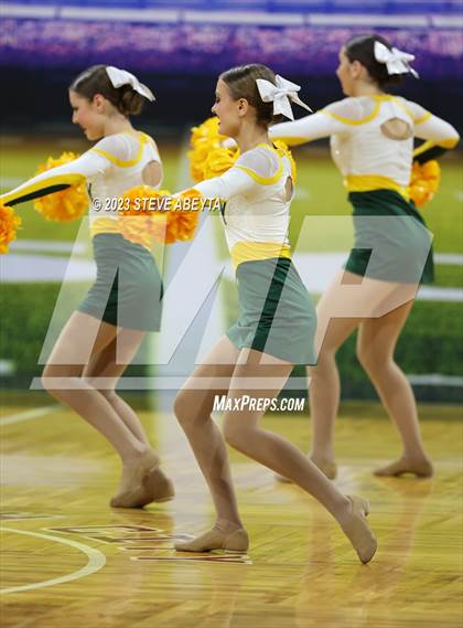 Thumbnail 2 in Pueblo County CHSAA Spirit Poms photogallery.
