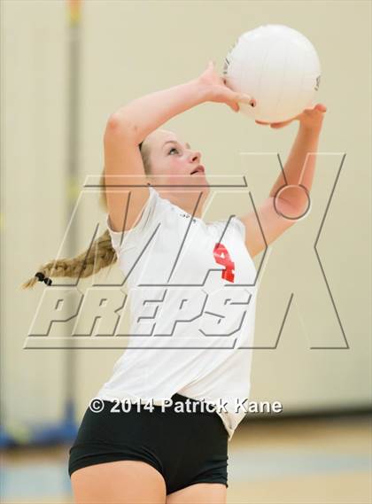 Thumbnail 2 in Herndon @ Yorktown photogallery.
