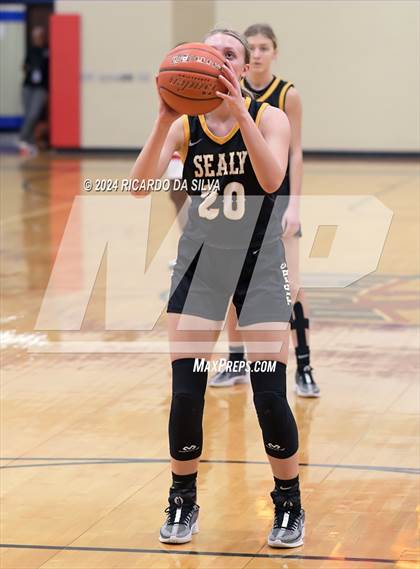 Thumbnail 1 in Royal vs Sealy photogallery.