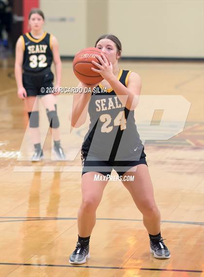 Thumbnail 1 in Royal vs Sealy photogallery.