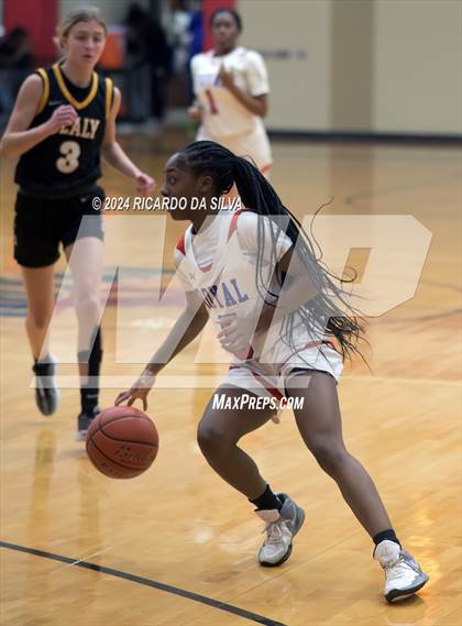 Thumbnail 2 in Royal vs Sealy photogallery.