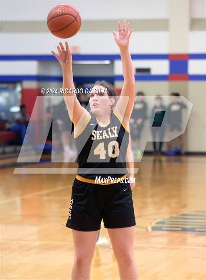 Thumbnail 3 in Royal vs Sealy photogallery.