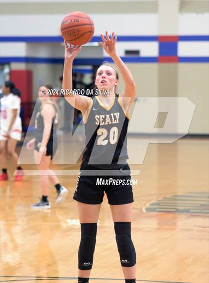 Thumbnail 3 in Royal vs Sealy photogallery.