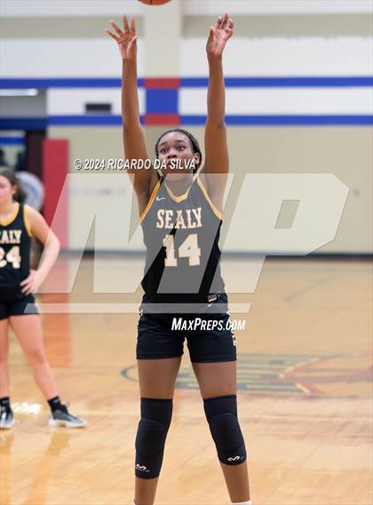 Thumbnail 3 in Royal vs Sealy photogallery.