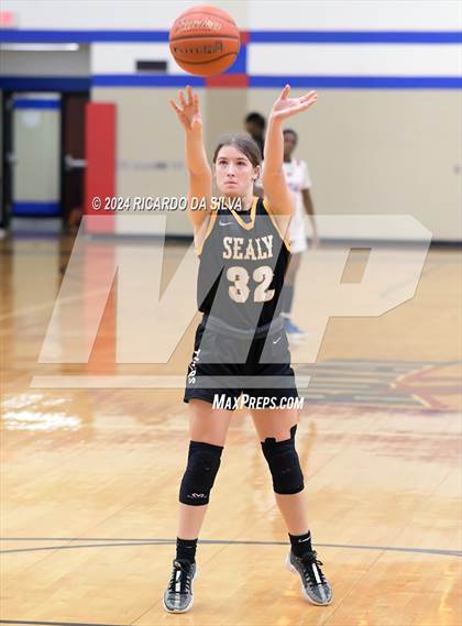 Thumbnail 1 in Royal vs Sealy photogallery.