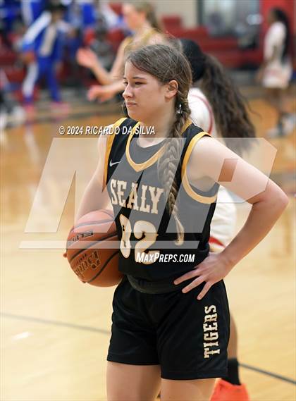 Thumbnail 1 in Royal vs Sealy photogallery.