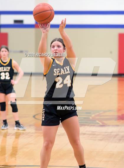 Thumbnail 3 in Royal vs Sealy photogallery.