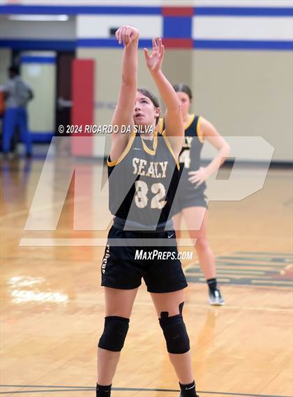 Thumbnail 2 in Royal vs Sealy photogallery.